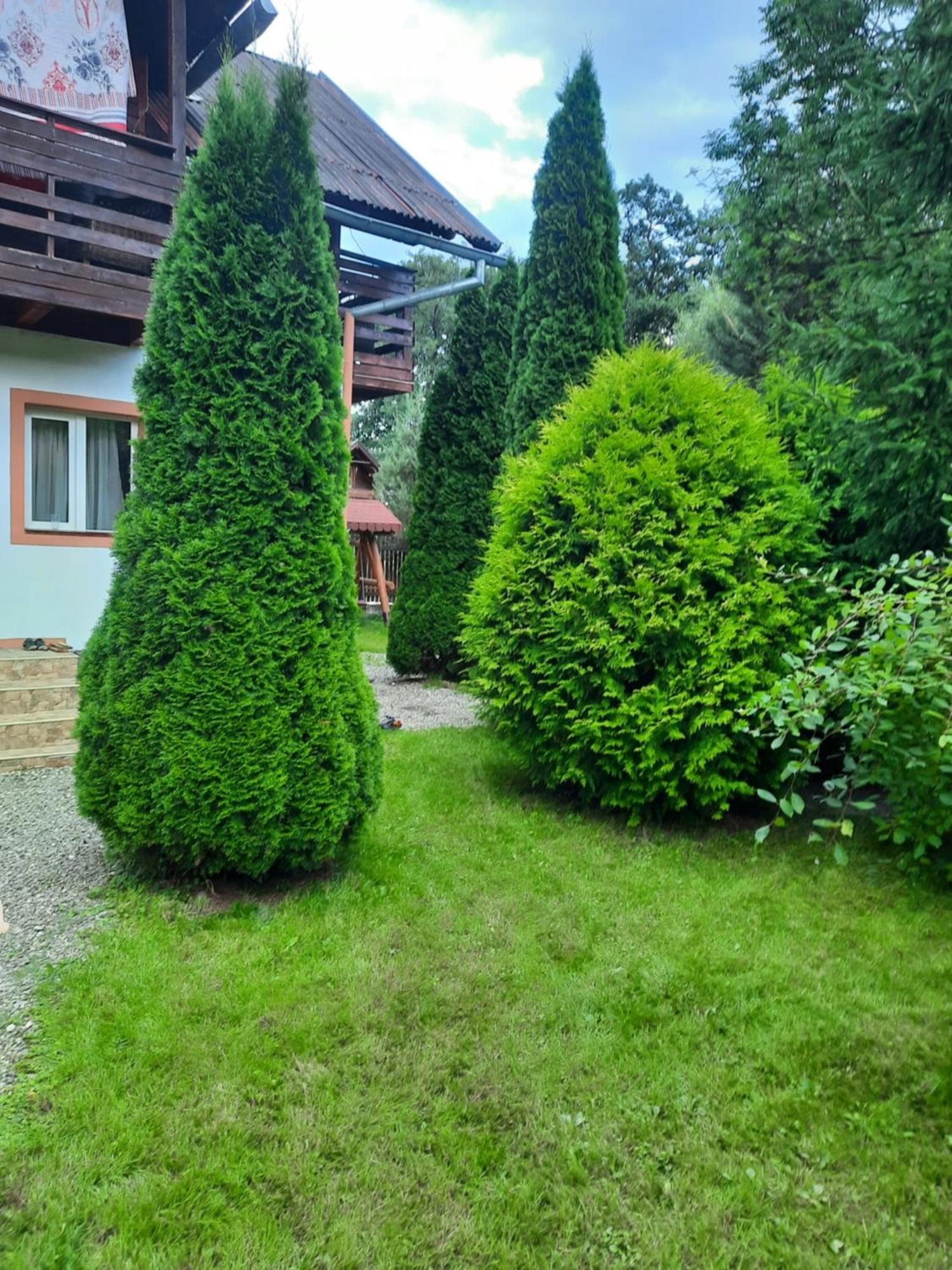 Colt De Rai Villa Bran  Exterior foto